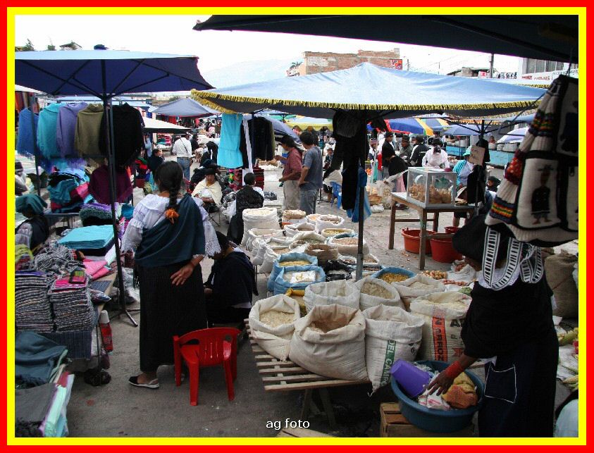 Ecuador 233_tn.jpg